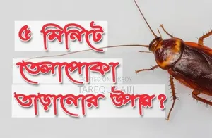 Cockroach Killing Medicine
