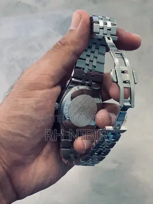 Rolex Land-Dweller: Silver Colour