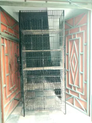 পাখির খাঁচা