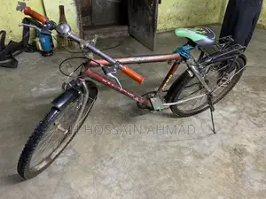Best for Delivery Work