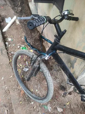 Non Gear Cycle