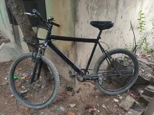 Non Gear Cycle