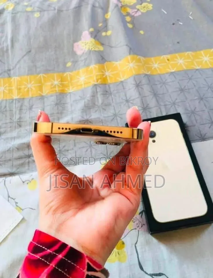 অ্যাপল আইফোন ১৩ প্রো ম্যাক্স ১২৮ জিবি গোল্ড