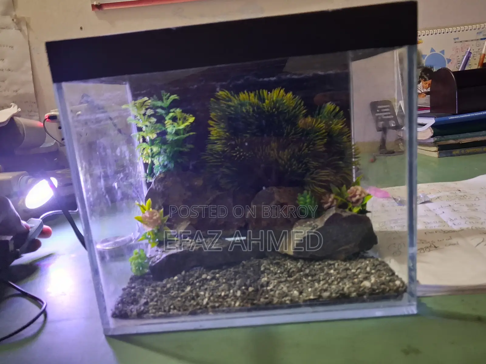 Mini Aquarium 6×9×11 Inch – Betta/Guppy/Shrimp Tank