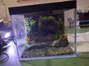 Mini Aquarium 6×9×11 Inch – Betta/Guppy/Shrimp Tank