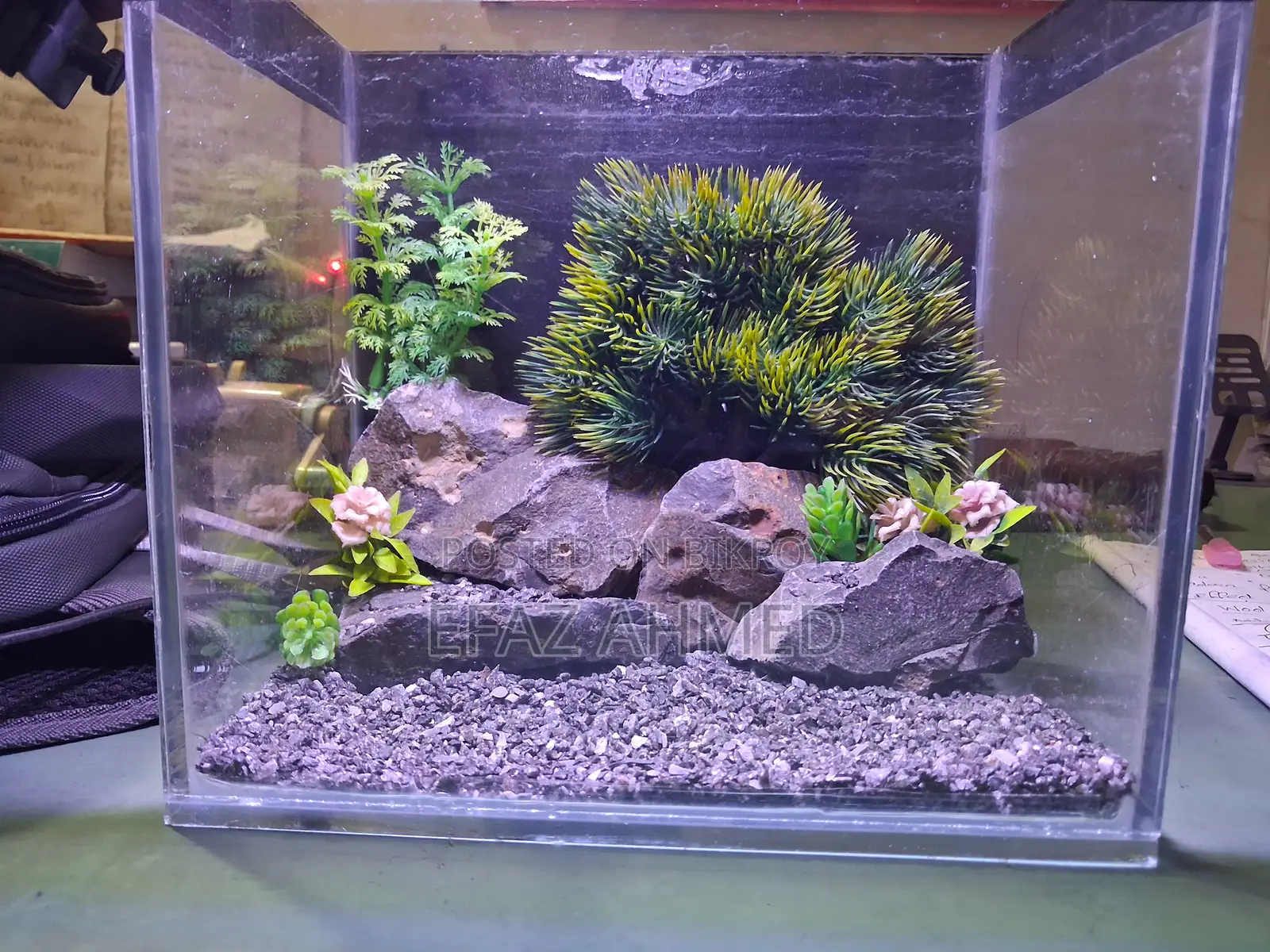 Mini Aquarium 6×9×11 Inch – Betta/Guppy/Shrimp Tank