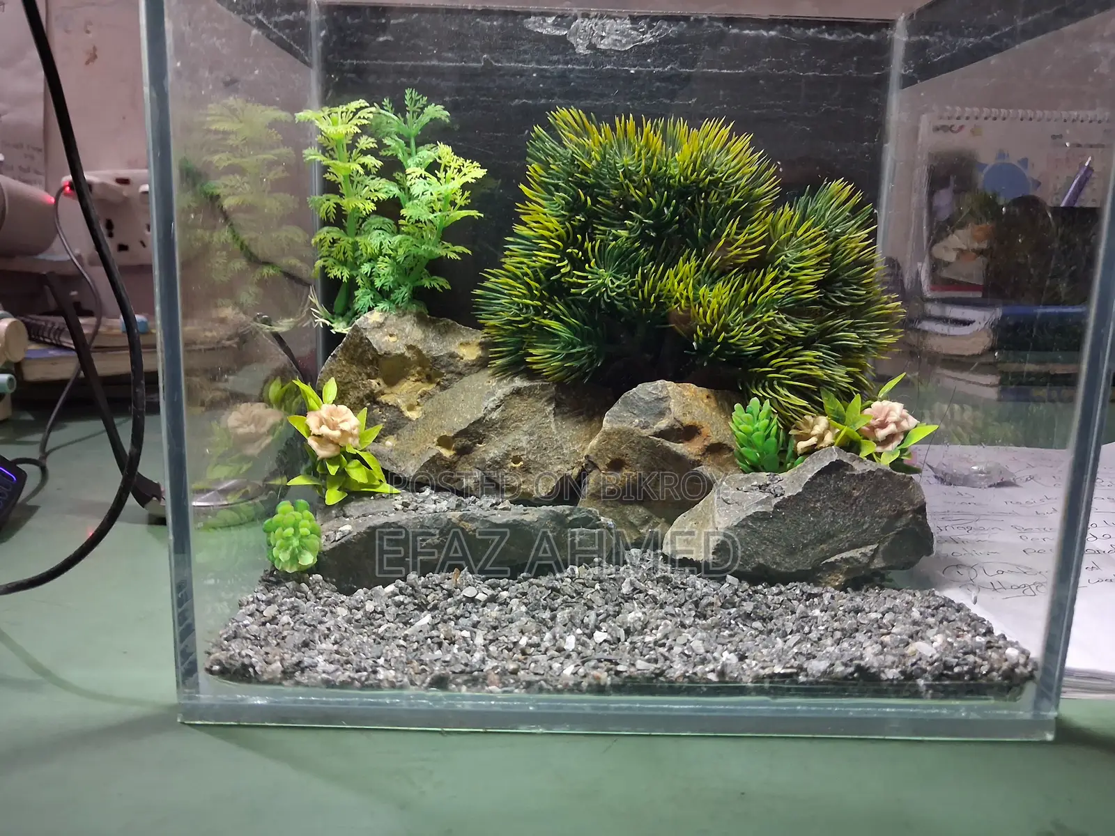 Mini Aquarium 6×9×11 Inch – Betta/Guppy/Shrimp Tank