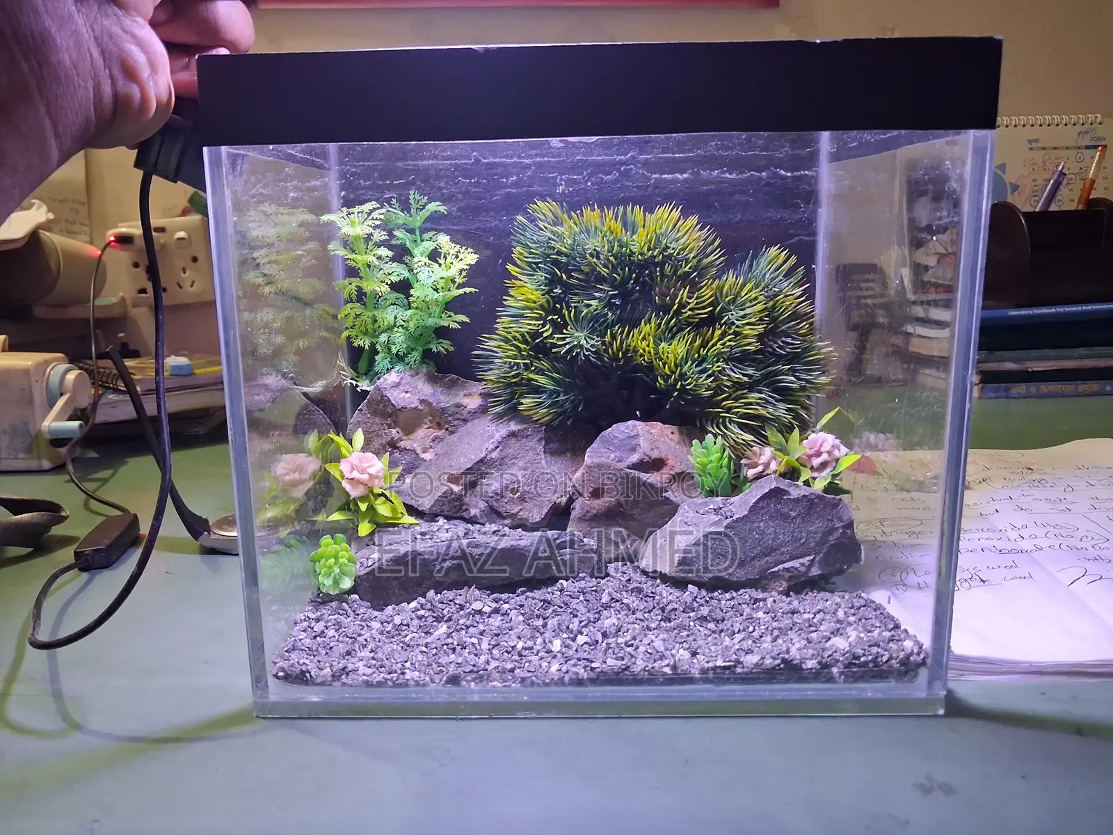 Mini Aquarium 6×9×11 Inch – Betta/Guppy/Shrimp Tank