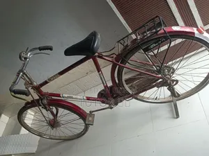 Captain Bi-Cycle