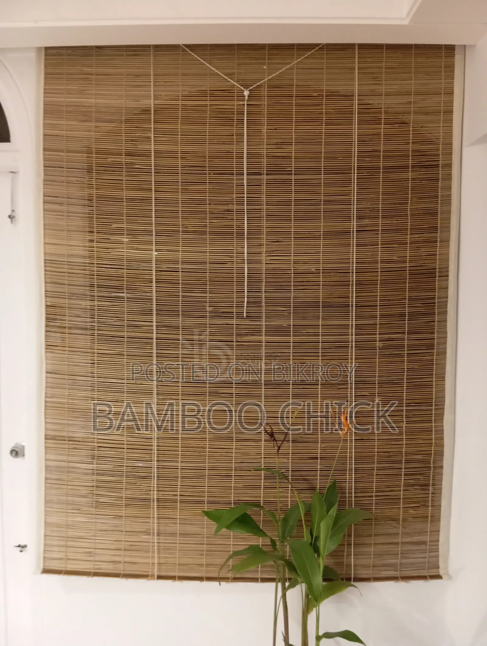 Bamboo Chick (Curtain)