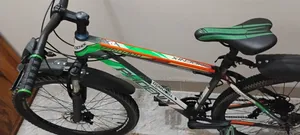 Phoenix Tornado Cycle