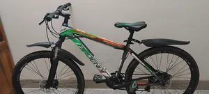 Phoenix Tornado Cycle
