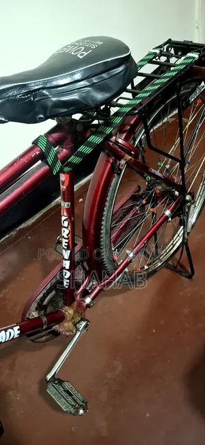 TRB Indian Cycle