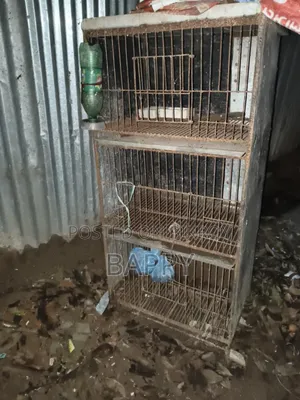 তিন খোপের দুইটি কবুতরের খাঁচা