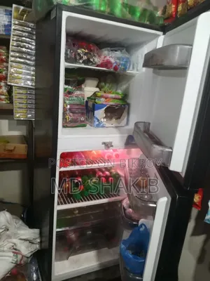 Inverter Fridge