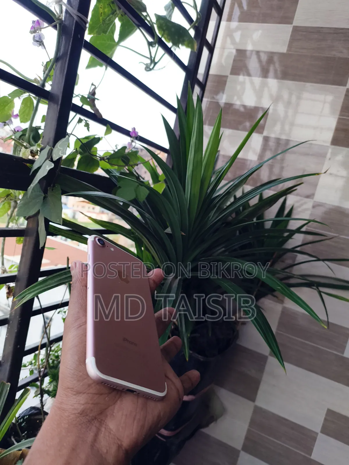 অ্যাপল আইফোন ৭ ১২৮ জিবি পিংক