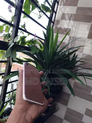 অ্যাপল আইফোন ৭ ১২৮ জিবি পিংক
