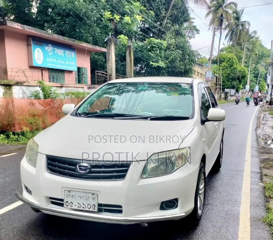 Toyota Axio 2007 Pearl