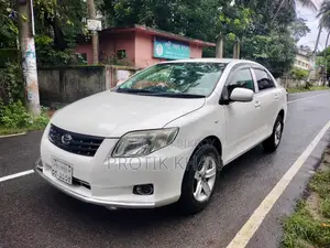 Toyota Axio 2007 Pearl