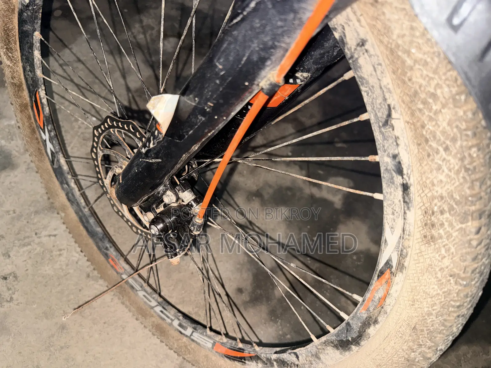 Focus Cycle