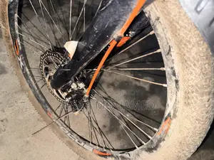 Focus Cycle