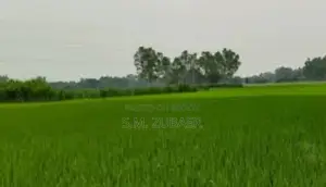 Agricultural, Farming, Industrial Land
