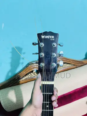 Winfer Guitar
