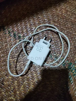 Sannai Charger 33w