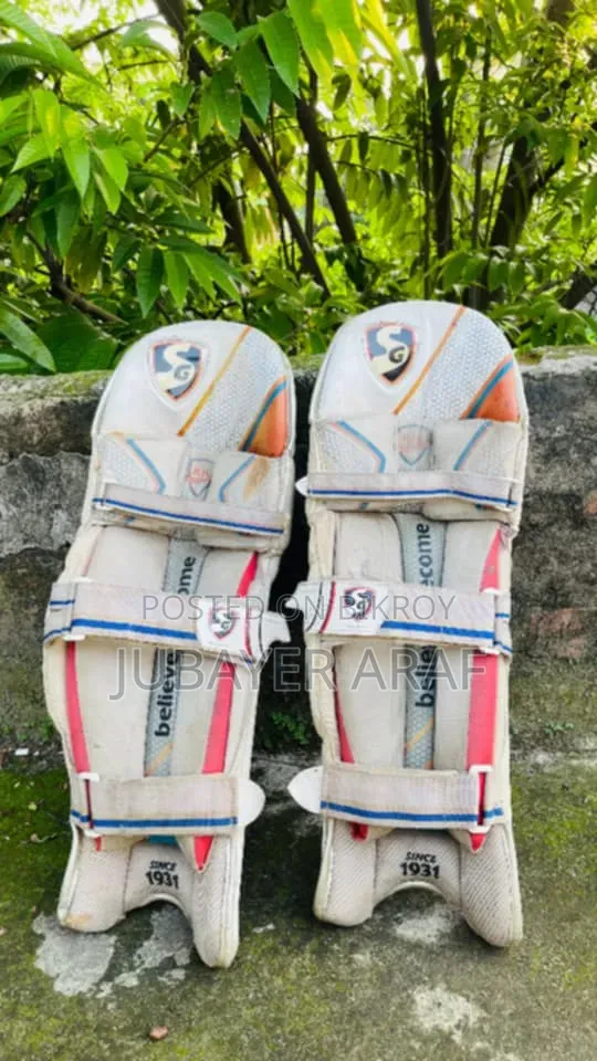 Cricket item