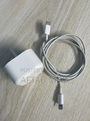 আইফোন ২০ডব্লিউ চার্জার