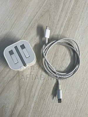 আইফোন ২০ডব্লিউ চার্জার