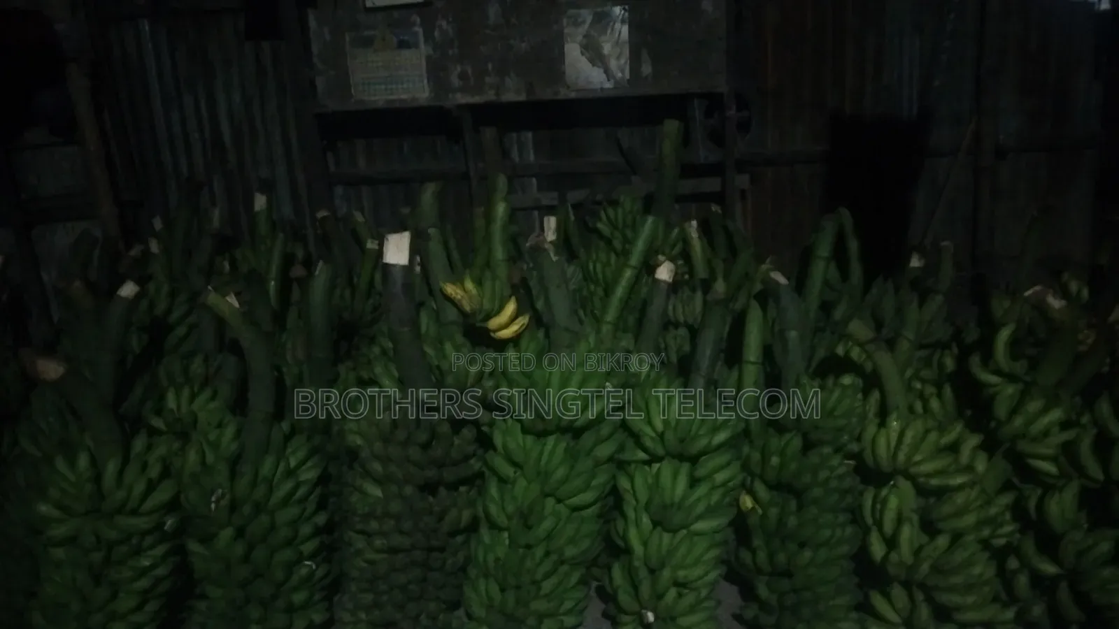 Banana Wholesale