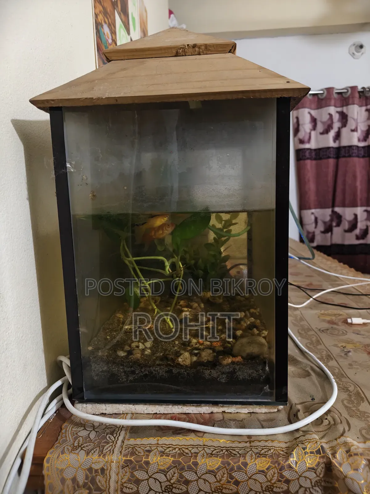 অ্যাকুয়ারিয়াম বিক্রি