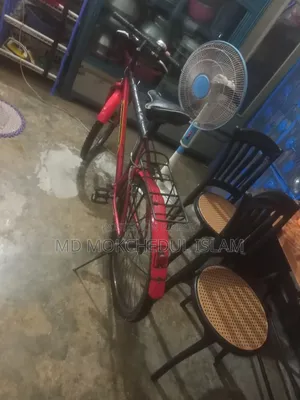 I will sell this bicycle.