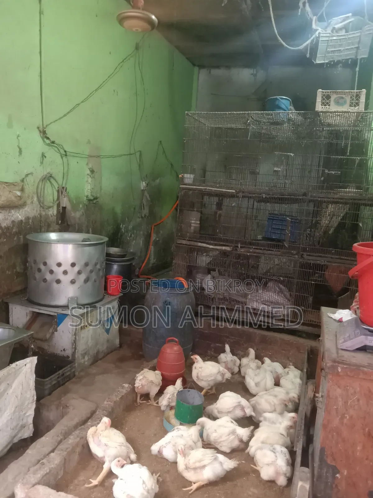 রানিং মুরগির দোকানের সমস্ত মালামাল বিক্রি করা হবে