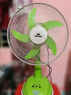 Walton Fan