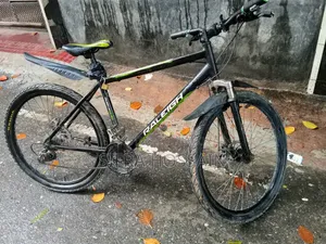 র্যালে ইউকে ৬০৬১ ফ্রেম : অ্যালয় সাইজ ২৬ ইঞ্চি