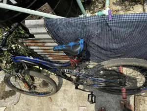 Cycle for Sale