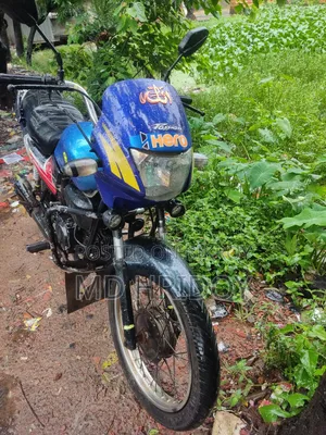 হিরো প্যাশন প্রো ২০০৬ ব্লু