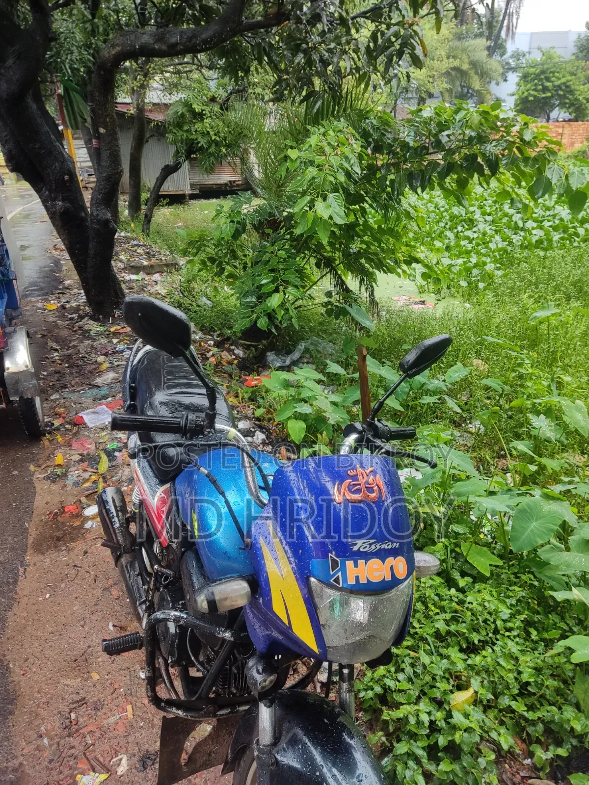 হিরো প্যাশন প্রো ২০০৬ ব্লু