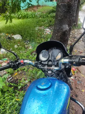 হিরো প্যাশন প্রো ২০০৬ ব্লু
