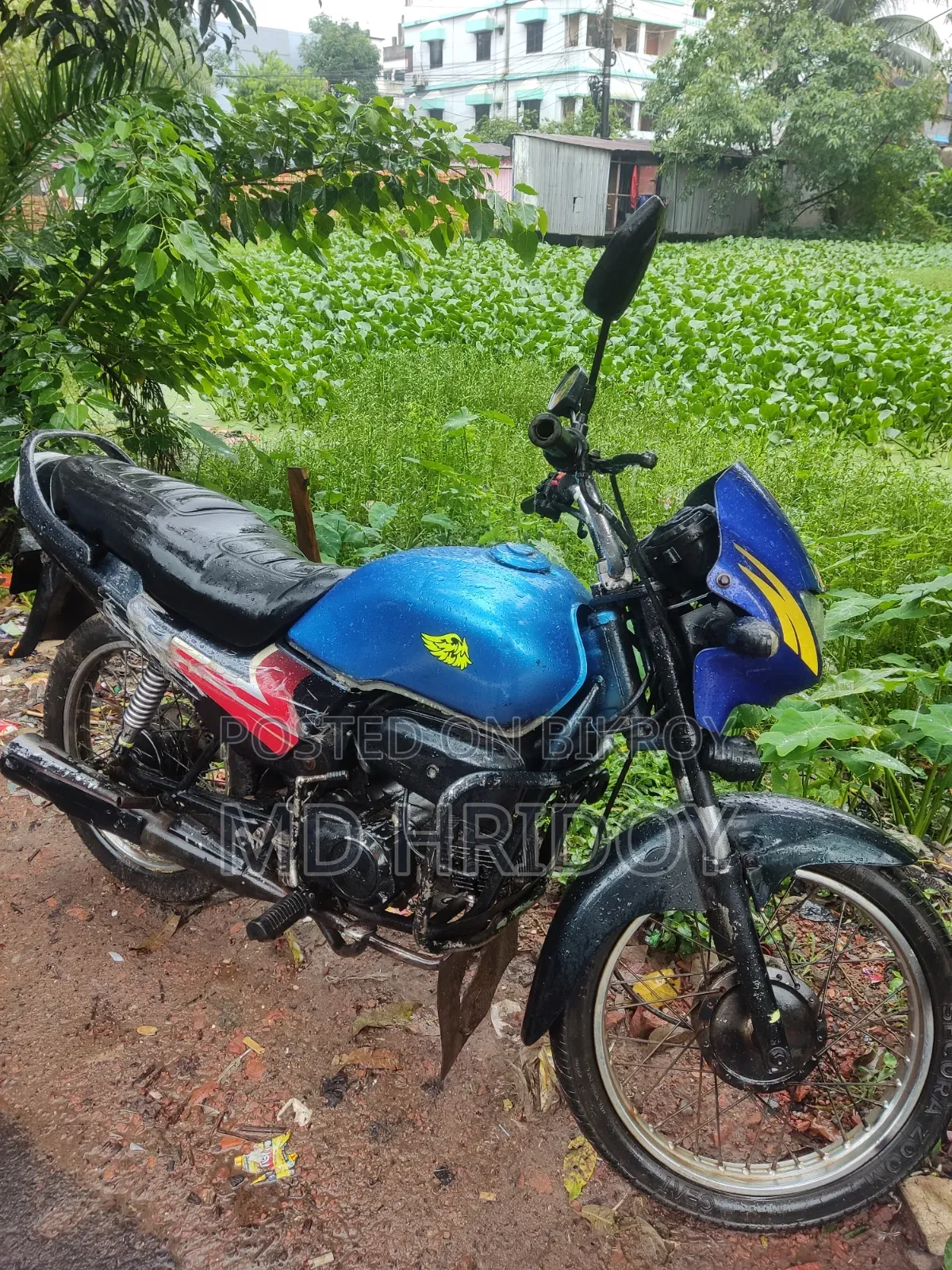 হিরো প্যাশন প্রো ২০০৬ ব্লু