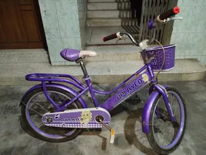 সাইকেল নতুনের মতোই আছে