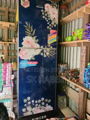Singer Fridge