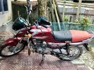 বাজাজ সিটি ১০০ ২০১৭ লাল