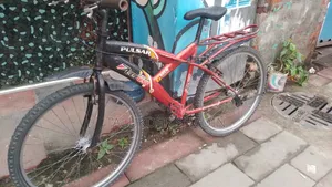 Bicycle for Sale