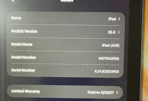 Apple iPad (2025) 128 GB Blue