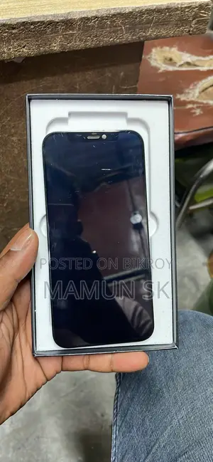 iPhone 12/12 Pro Display
