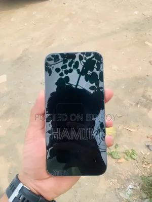 অ্যাপল আইফোন ১৩ প্রো ম্যাক্স ২৫৬ জিবি ব্লু