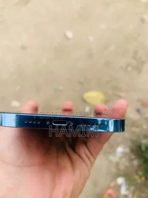 অ্যাপল আইফোন ১৩ প্রো ম্যাক্স ২৫৬ জিবি ব্লু